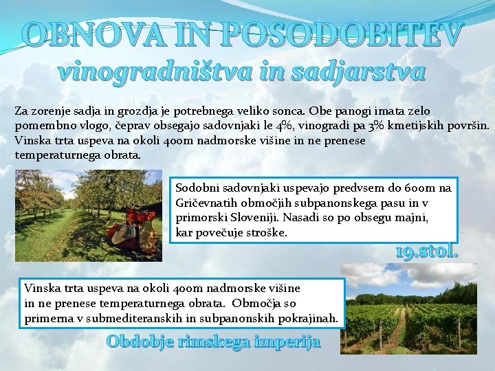 OBNOVA IN POSODOBITEV vinogradništva in sadjarstva Za zorenje sadja in grozdja je potrebnega veliko