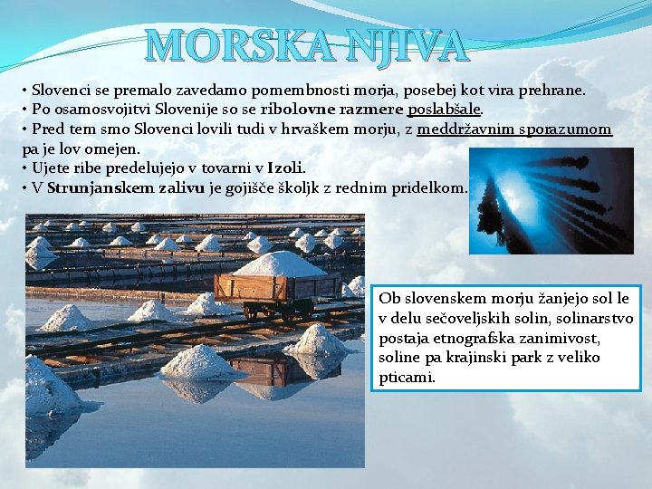 MORSKA NJIVA • Slovenci se premalo zavedamo pomembnosti morja, posebej kot vira prehrane. •