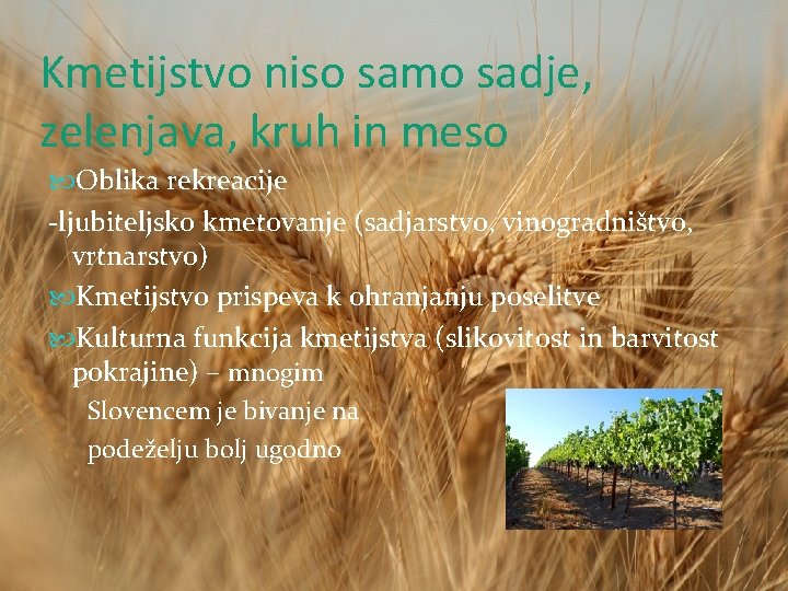 Kmetijstvo niso samo sadje, zelenjava, kruh in meso Oblika rekreacije -ljubiteljsko kmetovanje (sadjarstvo, vinogradništvo,