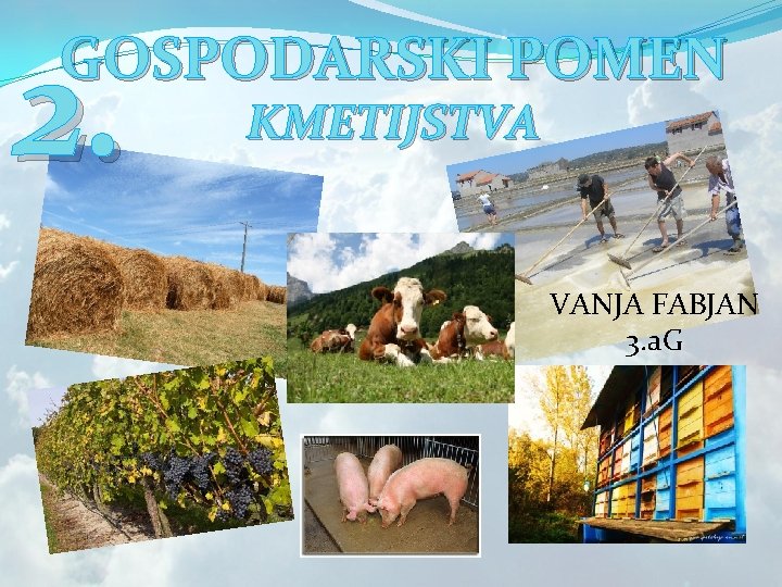 2. GOSPODARSKI POMEN KMETIJSTVA VANJA FABJAN 3. a. G 