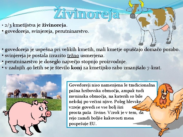 Živinoreja • 2/3 kmetijstva je živinoreja. • govedoreja, svinjereja, perutninarstvo. • govedoreja je uspešna