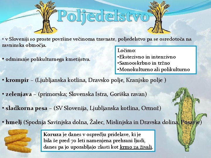 Poljedelstvo • v Sloveniji so proste površine večinoma travnate, poljedelstvo pa se osredotoča na