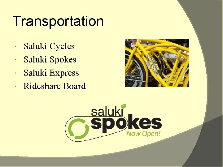 Transportation Saluki Cycles Saluki Spokes Saluki Express Rideshare Board 