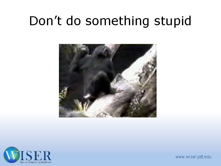 Don’t do something stupid www. wiser. pitt. edu 