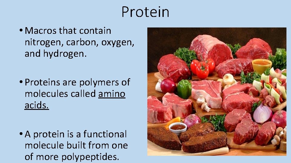 Protein • Macros that contain nitrogen, carbon, oxygen, and hydrogen. • Proteins are polymers