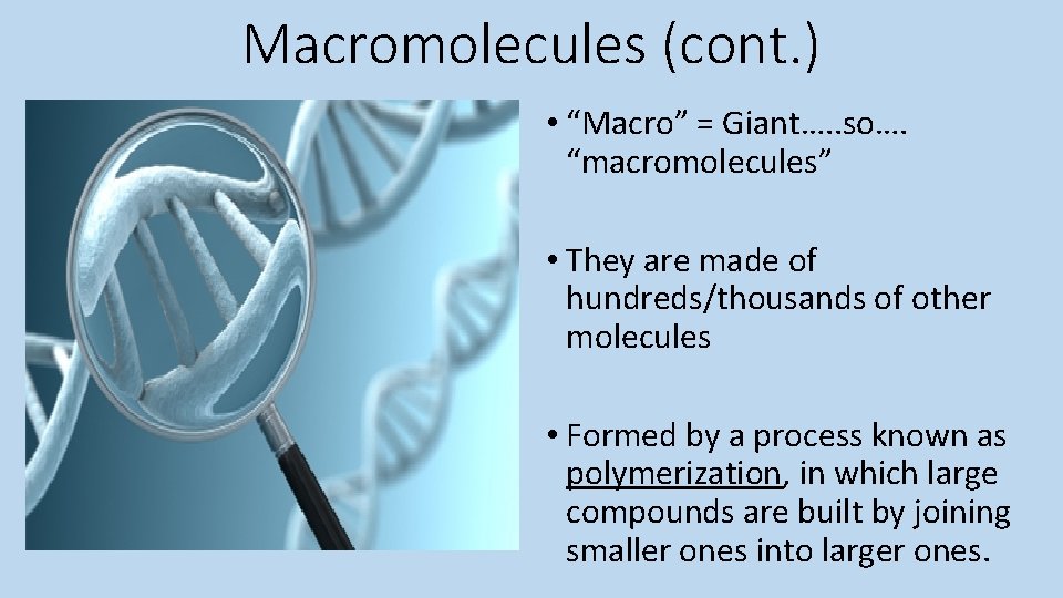 Macromolecules (cont. ) • “Macro” = Giant…. . so…. “macromolecules” • They are made