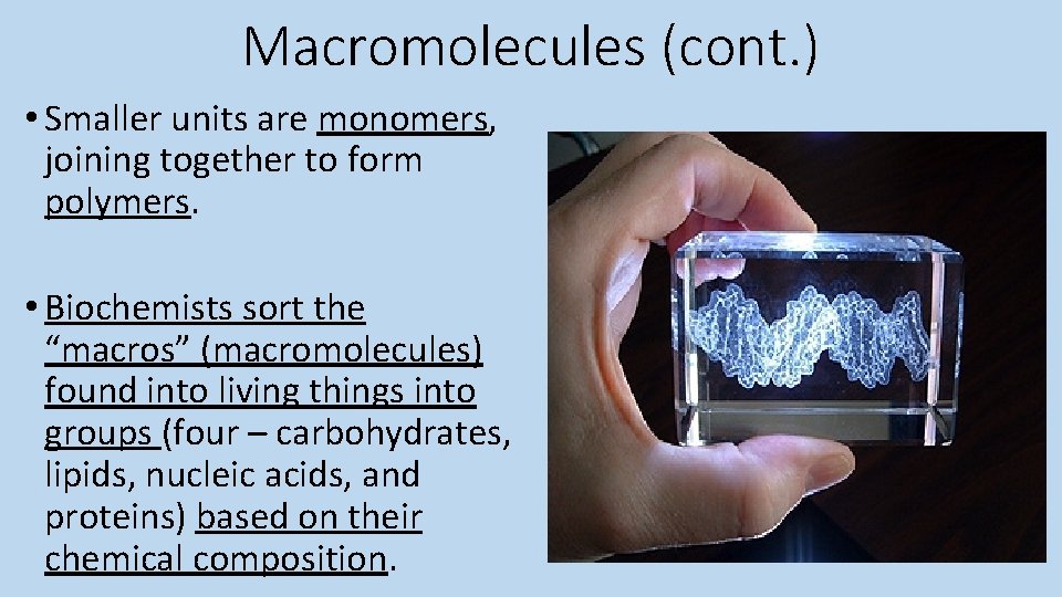 Macromolecules (cont. ) • Smaller units are monomers, joining together to form polymers. •