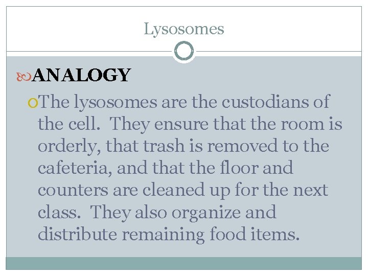 Lysosomes ANALOGY The lysosomes are the custodians of the cell. They ensure that the