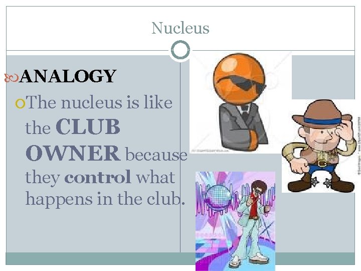 Nucleus ANALOGY The nucleus is like the CLUB OWNER because they control what happens