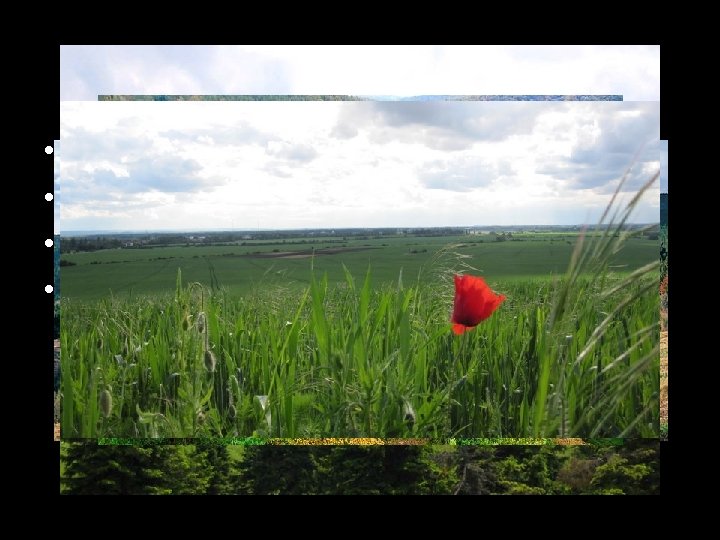 Povrch • • Orlické hory Hrubý Jeseník Českomoravská vrchovina Polabská nížina 