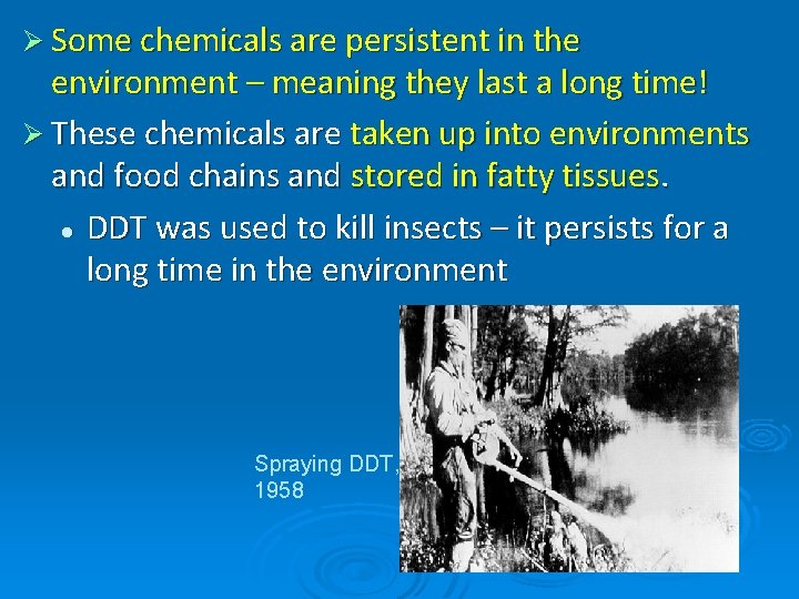 Ø Some chemicals are persistent in the environment – meaning they last a long