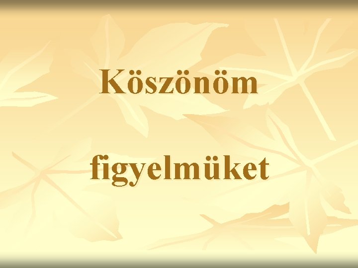 Köszönöm figyelmüket 