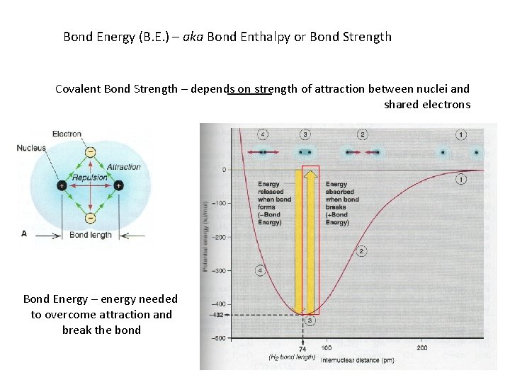 Bond Energy (B. E. ) – aka Bond Enthalpy or Bond Strength Covalent Bond
