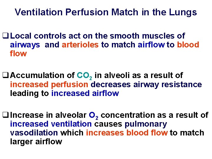 Ventilation Perfusion Match in the Lungs q Local controls act on the smooth muscles