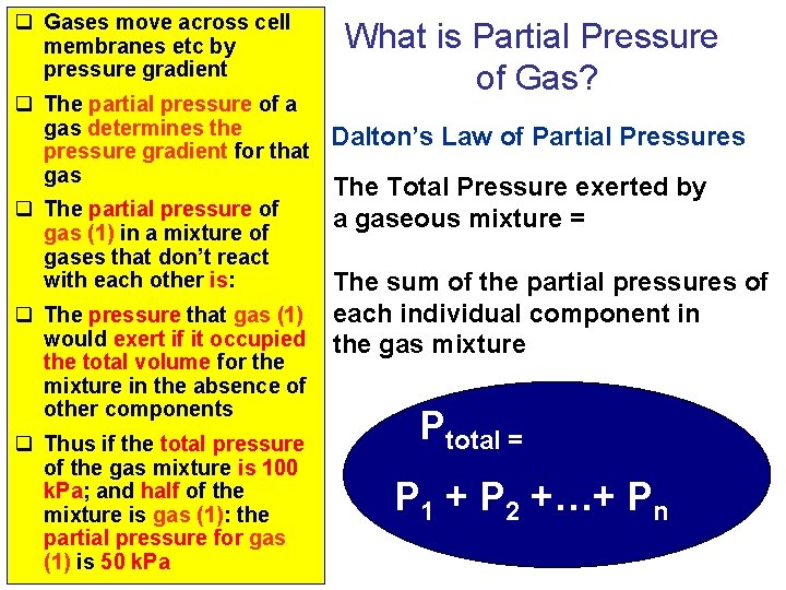 q Gases move across cell membranes etc by pressure gradient What is Partial Pressure