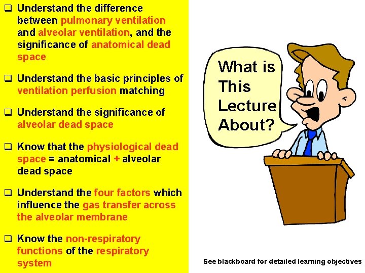 q Understand the difference between pulmonary ventilation and alveolar ventilation, and the significance of