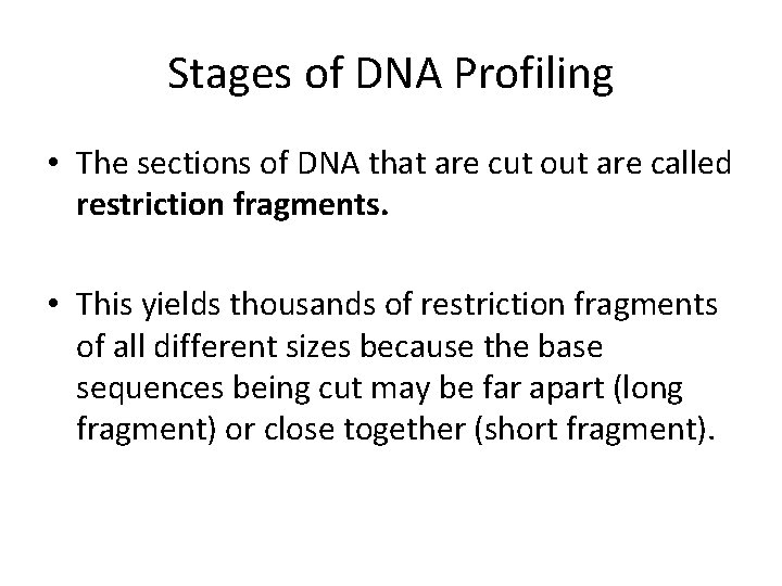 Stages of DNA Profiling • The sections of DNA that are cut out are
