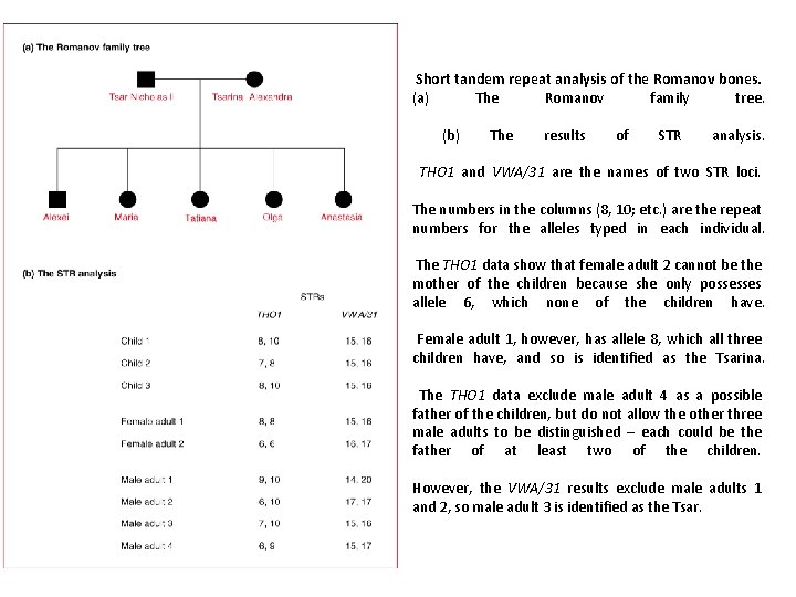 Short tandem repeat analysis of the Romanov bones. (a) The Romanov family tree. (b)