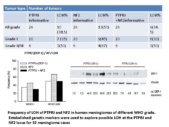 Tumor type Number of tumors PTPRJ informative LOH% NF 2 informative LOH% PTPRJ +NF