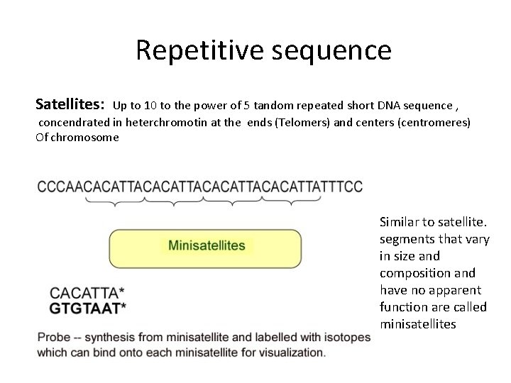 Repetitive sequence Satellites: Up to 10 to the power of 5 tandom repeated short