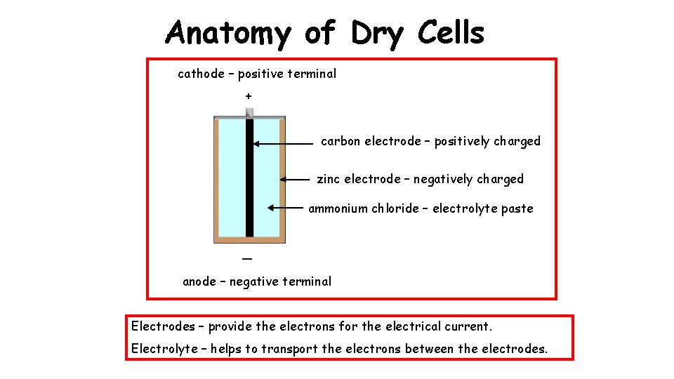Anatomy of Dry Cells cathode – positive terminal + carbon electrode – positively charged