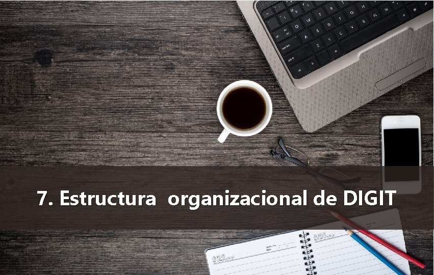 7. Estructura organizacional de DIGIT 