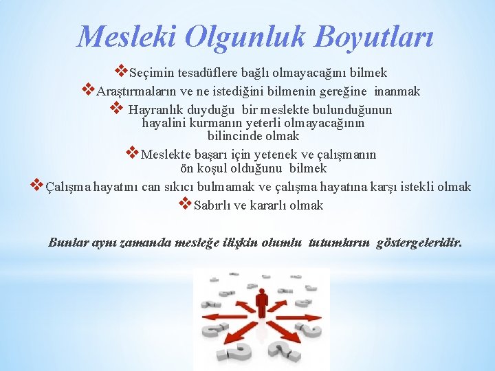 Mesleki Olgunluk Boyutları v. Seçimin tesadüflere bağlı olmayacağını bilmek v. Araştırmaların ve ne istediğini