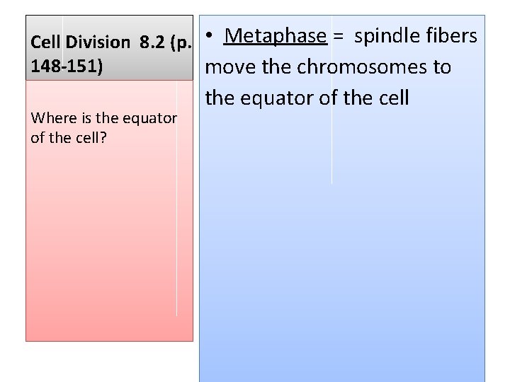 Cell Division 8. 2 (p. • Metaphase = spindle fibers 148 -151) move the