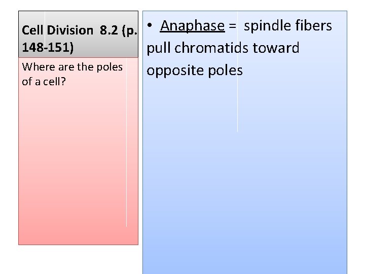 Cell Division 8. 2 (p. • Anaphase = spindle fibers 148 -151) pull chromatids