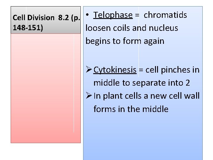 Cell Division 8. 2 (p. • Telophase = chromatids 148 -151) loosen coils and