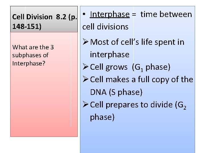 Cell Division 8. 2 (p. • Interphase = time between 148 -151) cell divisions