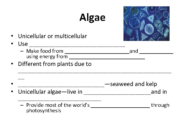 Algae • Unicellular or multicellular • Use _______________ – Make food from ____________and ______