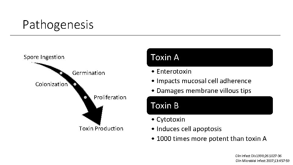 Pathogenesis Toxin A Spore Ingestion Germination Colonization Proliferation Toxin Production • Enterotoxin • Impacts