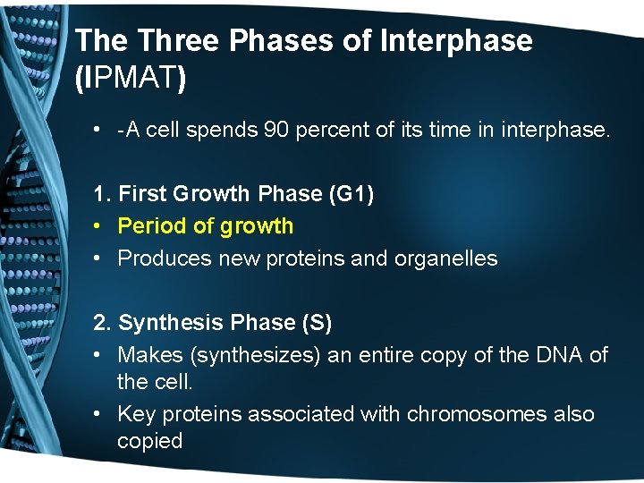 The Three Phases of Interphase (IPMAT) • -A cell spends 90 percent of its