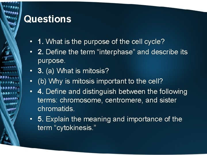 Questions • 1. What is the purpose of the cell cycle? • 2. Define