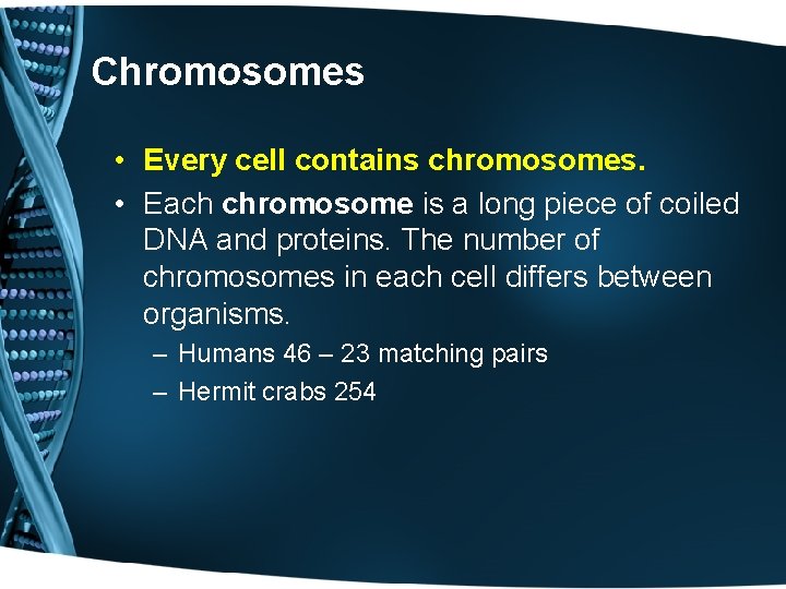 Chromosomes • Every cell contains chromosomes. • Each chromosome is a long piece of
