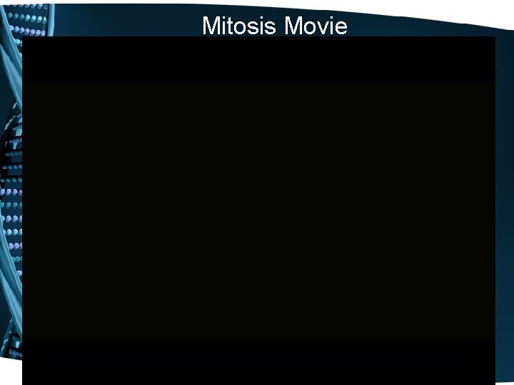Mitosis Movie 