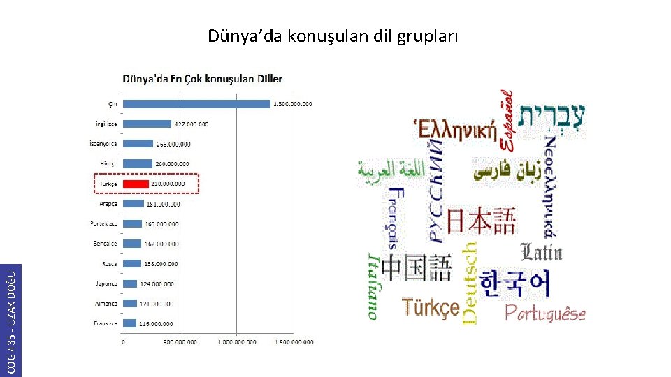 COG 435 - UZAK DOĞU Dünya’da konuşulan dil grupları 