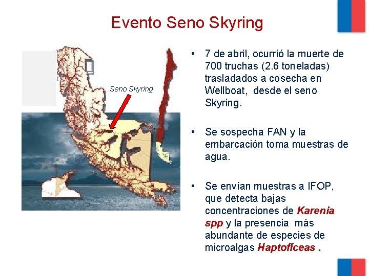 Evento Seno Skyring • 7 de abril, ocurrió la muerte de 700 truchas (2.