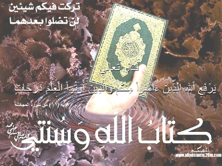 7 November 2009 Dr. Med. Khaled Radaideh 2 
