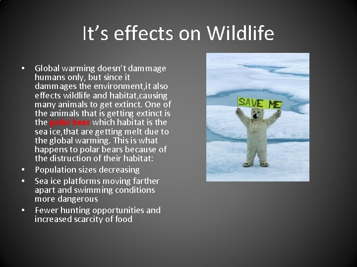 It’s effects on Wildlife • • Global warming doesn’t dammage humans only, but since