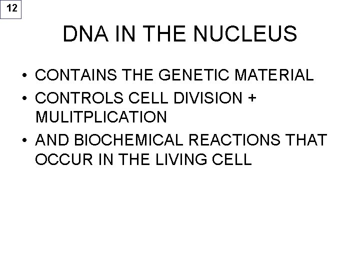 12 DNA IN THE NUCLEUS • CONTAINS THE GENETIC MATERIAL • CONTROLS CELL DIVISION