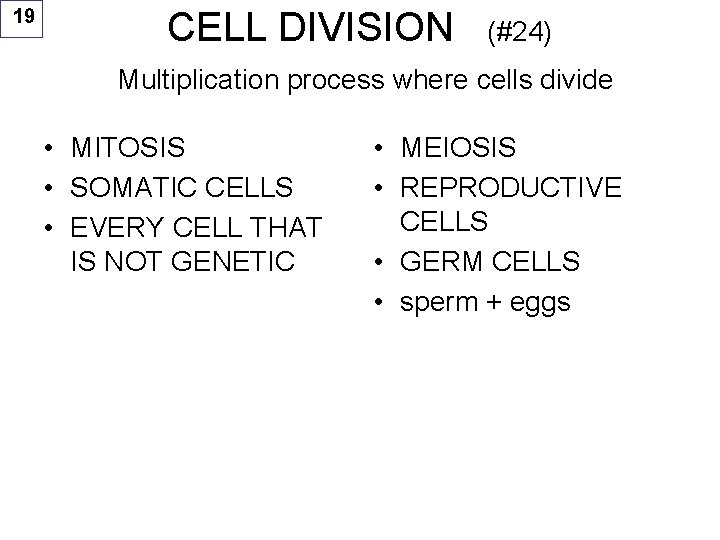 19 CELL DIVISION (#24) Multiplication process where cells divide • MITOSIS • SOMATIC CELLS
