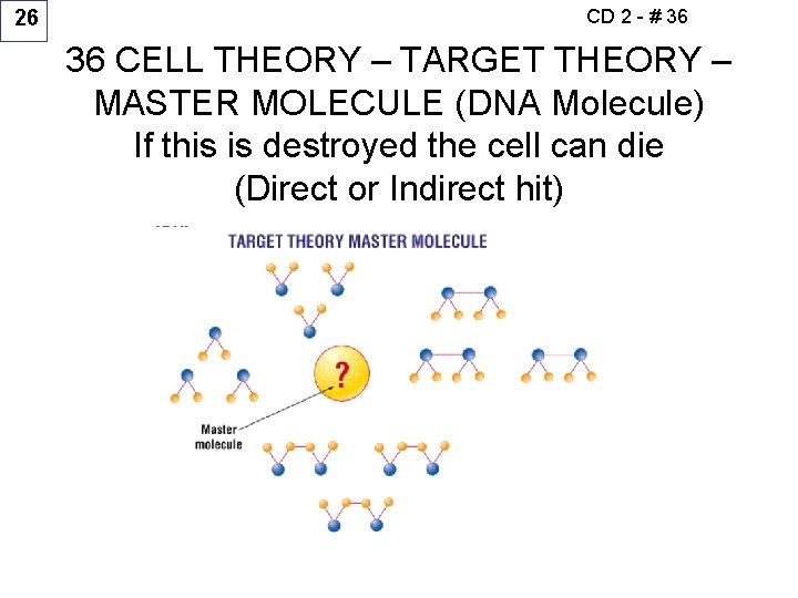 26 CD 2 - # 36 36 CELL THEORY – TARGET THEORY – MASTER