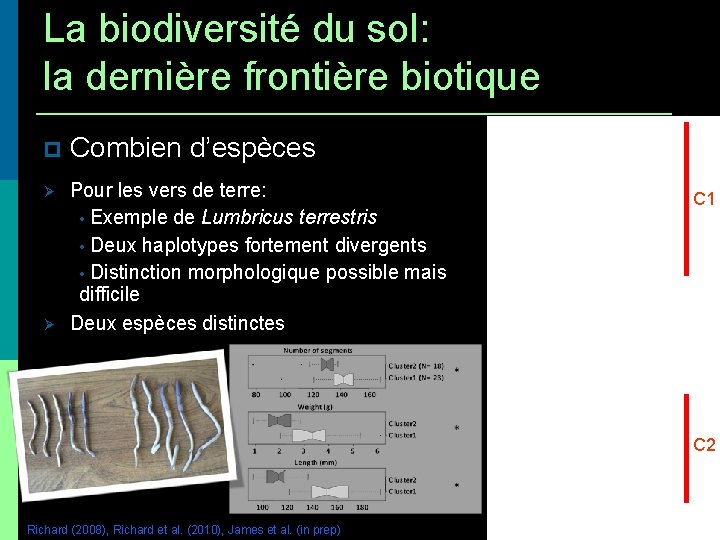 La biodiversité du sol: la dernière frontière biotique • Combiend’espèces Pour les vers de