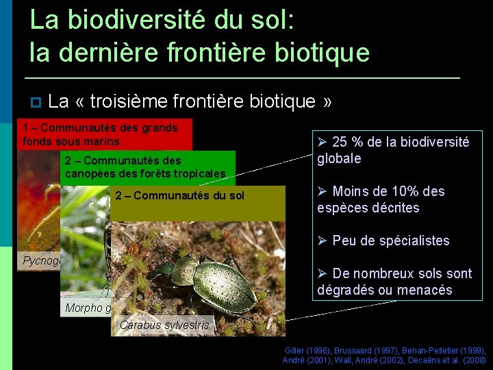 La biodiversité du sol: la dernière frontière biotique La « troisième frontière biotique »