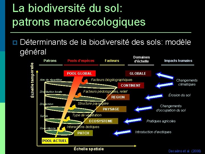 La biodiversité du sol: patrons macroécologiques Déterminants de la biodiversité des sols: modèle général