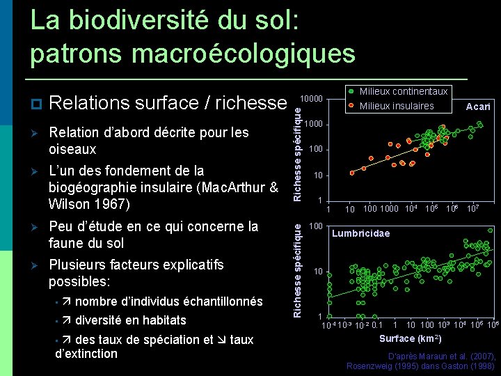 La biodiversité du sol: patrons macroécologiques Relation d’abord décrite pour les oiseaux L’un des