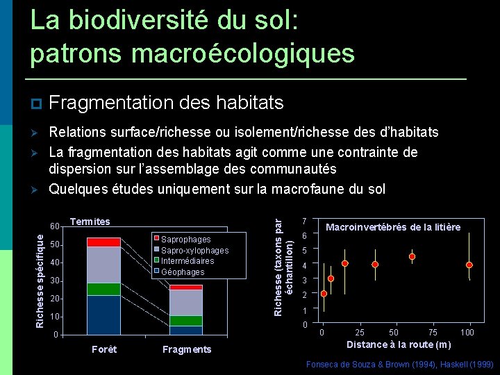 La biodiversité du sol: patrons macroécologiques Fragmentation des habitats Relations surface/richesse ou isolement/richesse des