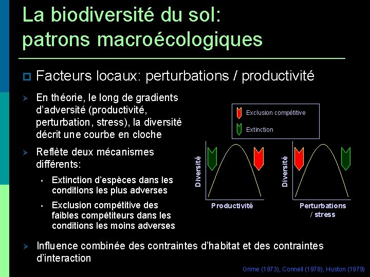 La biodiversité du sol: patrons macroécologiques Facteurs locaux: perturbations / productivité En théorie, le